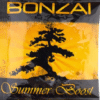 Buy Bonzai Summer Boost Herbal Incense 3g